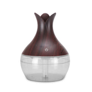 New Translucent Humidifier Desktop Mini USB Humidifier Air Purifier