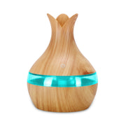 New Translucent Humidifier Desktop Mini USB Humidifier Air Purifier