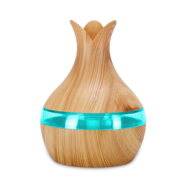New Translucent Humidifier Desktop Mini USB Humidifier Air Purifier